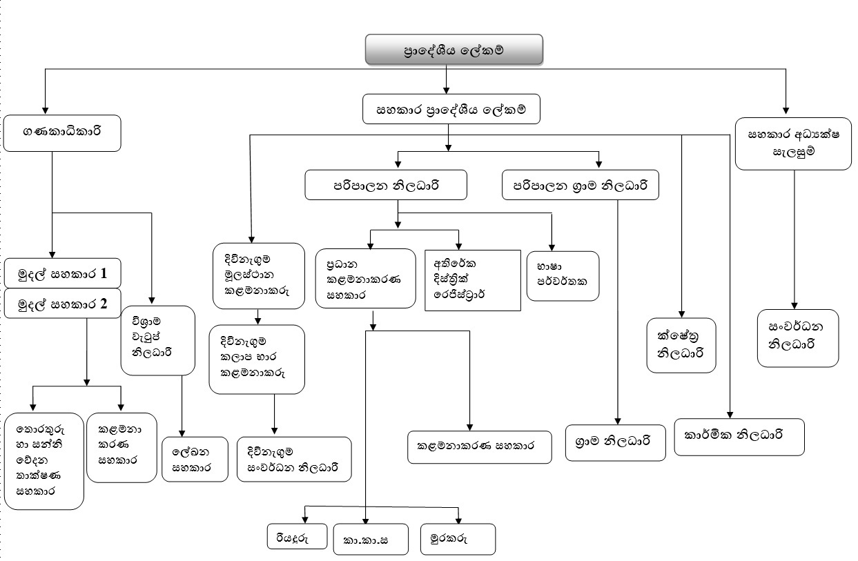 Organizational Chart S