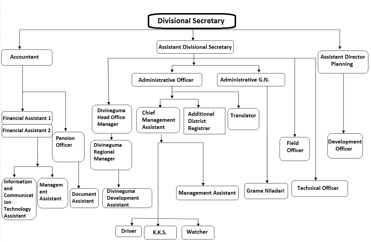 Organizational Chart E